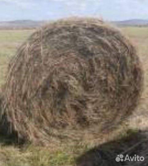 Сено в тюках