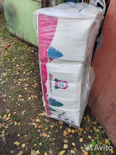 Царь ёлка. Русская красавица