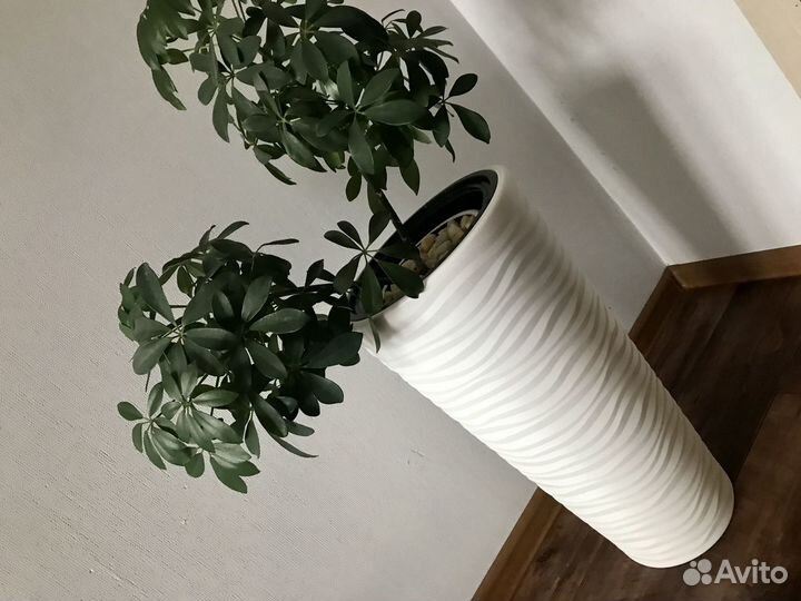 Кашпо для цветов со вставкой 25 л (5 л)