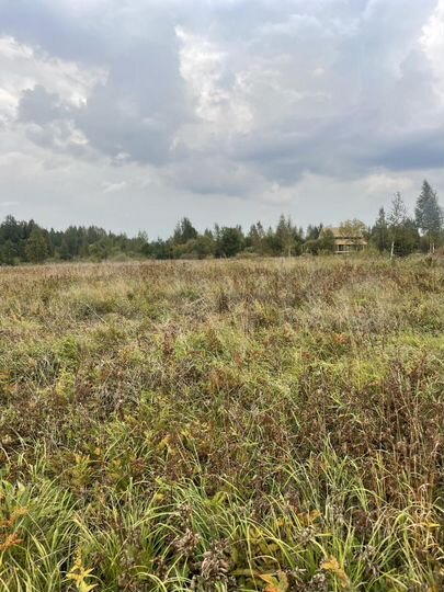 Участок 7 сот. (СНТ, ДНП)