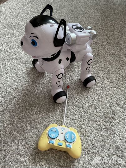 Робот собака на управлении