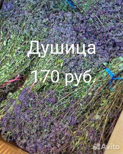 Лаванда Крым, масло лаванды, травы в ассортименте