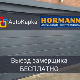 Подъемные ворота Alutech DoorHan Hormann