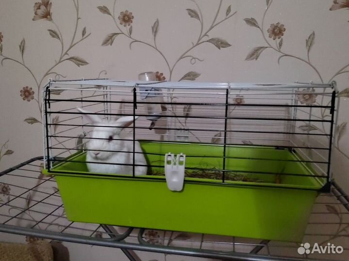 Клетка для декоративного кролика