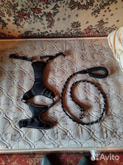 Шлейка поводок для собаки 1.5м