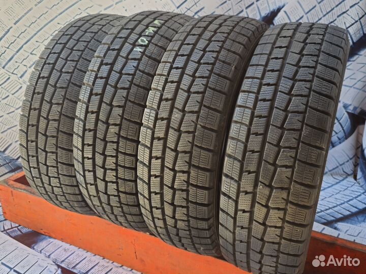 Dunlop Winter Maxx WM01 175/65 R14