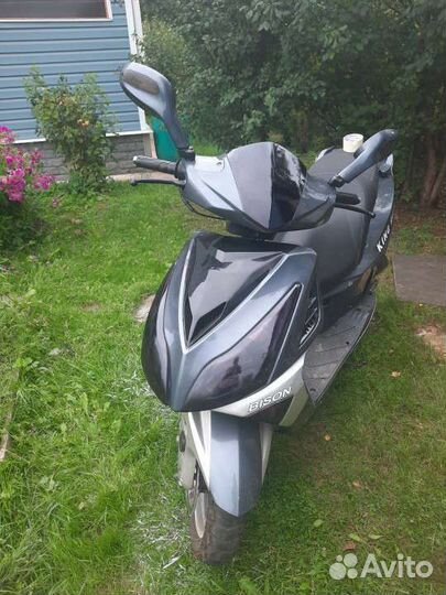 Wels bison 50(80)cc