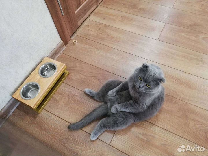 Подставка под миски