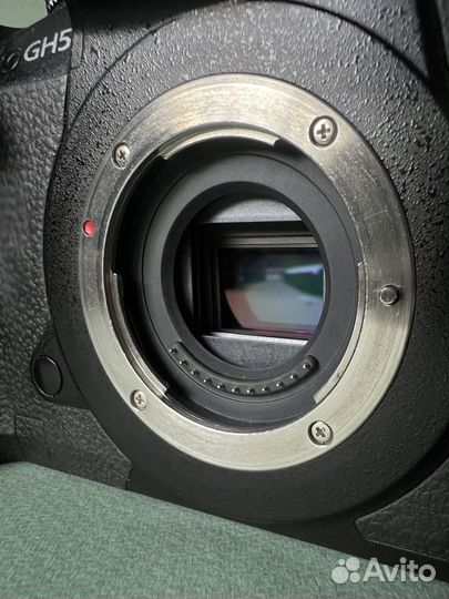 Panasonic gh5