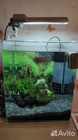 Аквариум dennerle nano cube 30 л, полный комплект