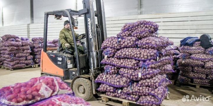 Бригада Разнорабочих