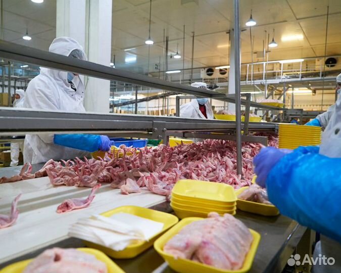 Ищем сотрудников для работы на птицефабрике Пермь