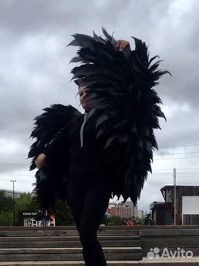 Крылья ангела черные