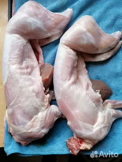 Продам мясо кролика