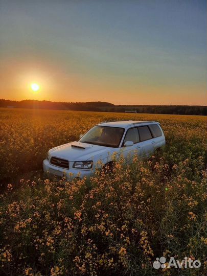 Subaru Forester 2.0 МТ, 2002, 199 000 км