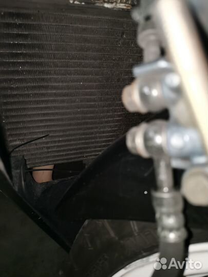 Honda cbr 1100xx blakbirit