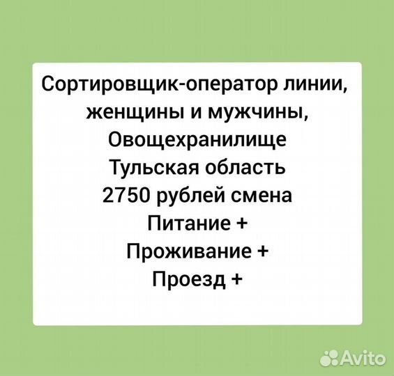 Сортировщик овощей с питанием и проживанием