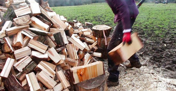 Дрова осина