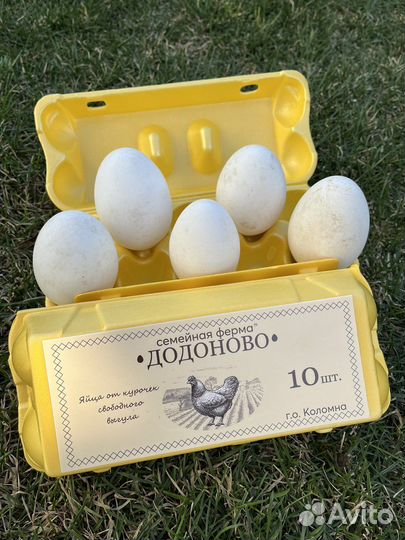 Домашние куриные яйца