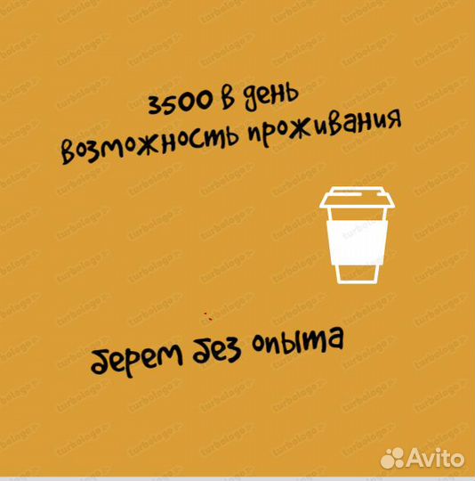 Бариста (без образования) 50