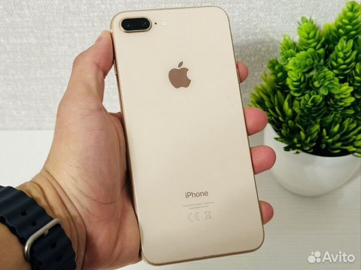 iPhone 8 Plus, 64 ГБ