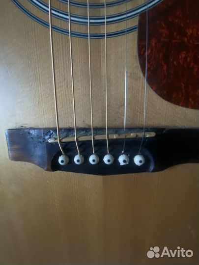 Акустическая гитара cort