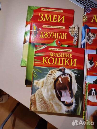 Энциклопедия для детей