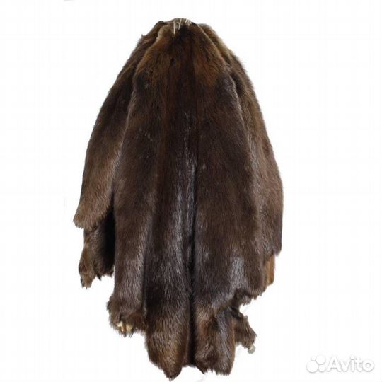 Шкуры бобра (имитация)