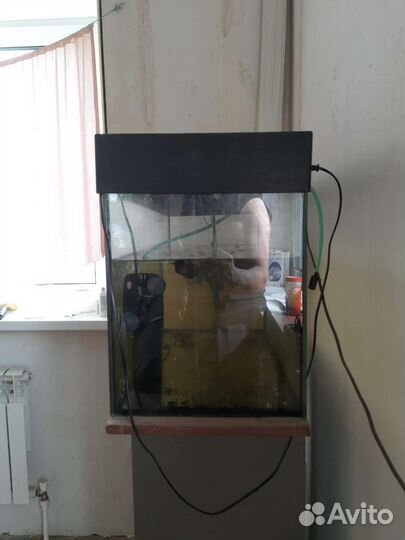 Аквариум