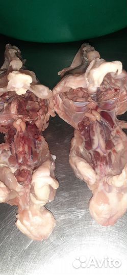 Куриные Кости для собак