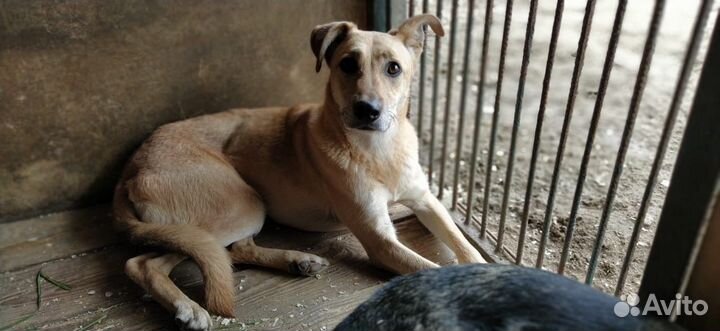 Марка хочет домой