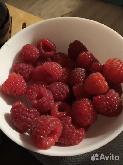 Малина ремонтантная саженцы