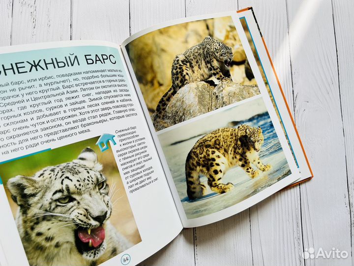 Эти великолепные животные