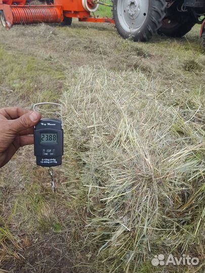 Сено в тюках