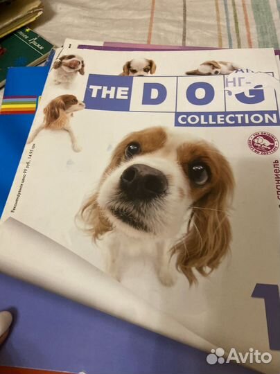 Журналы детские непоседа барби раскраски