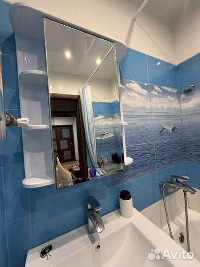 Зеркало -шкаф. 60смна 70