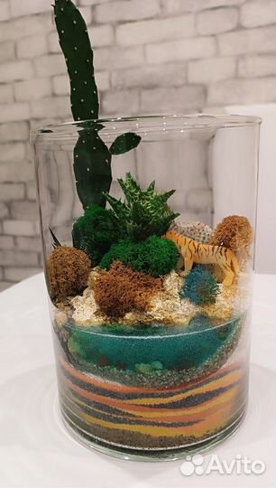 Флорариум. Цветы. Подарок