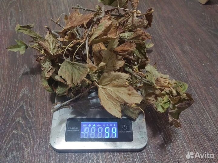 Ветки для грызунов