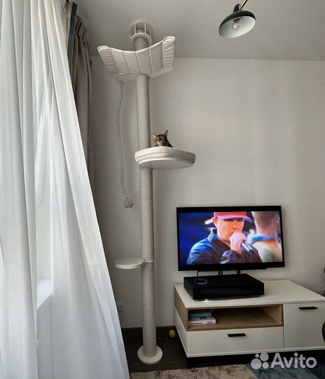 Когтеточка с упором в потолок