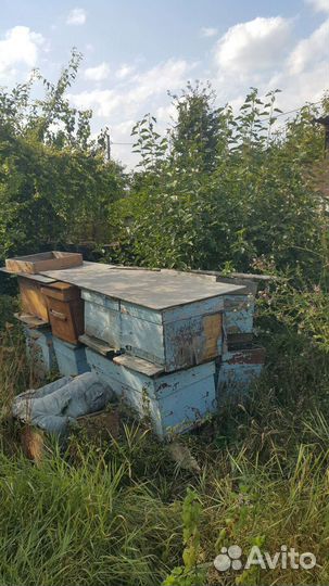 Улей для пчел бу