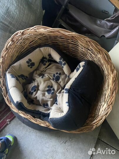 Лежанка для животных