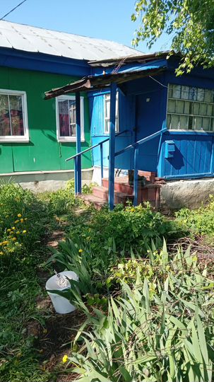 Дом 35 м² на участке 50 сот.