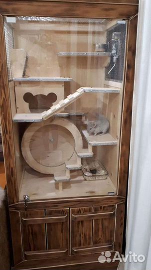 Витрина для шиншилл