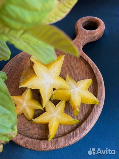 Семена экзотических растений