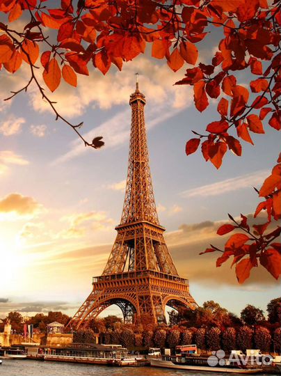 Репетитор по французскому языку