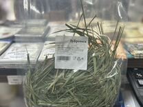 Зубровка трава, 20 грамм