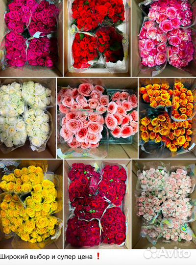 Роза оптом Россия, Кения цветы зелень