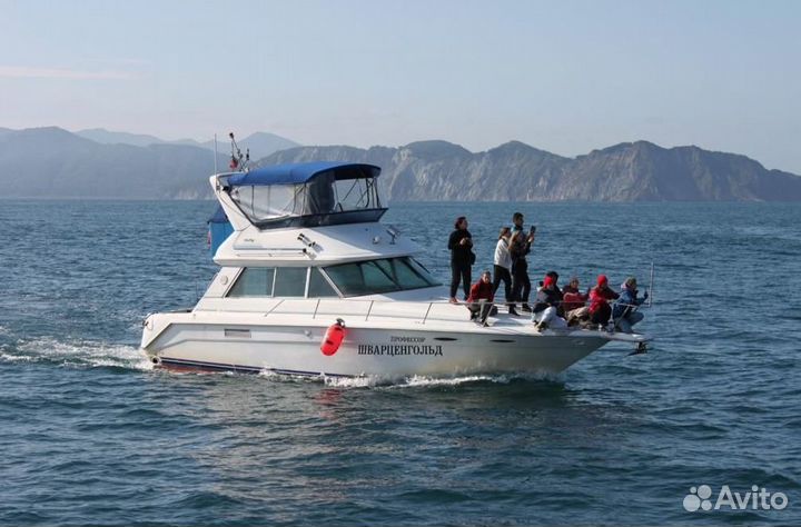 Тур на Камчатку/ морская прогулка к Бухте Русская