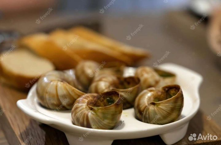 Фермерская улитка Максима и Мюллер