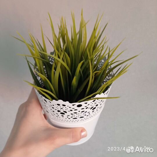 Фейка IKEA икея +кашпо skurar икея